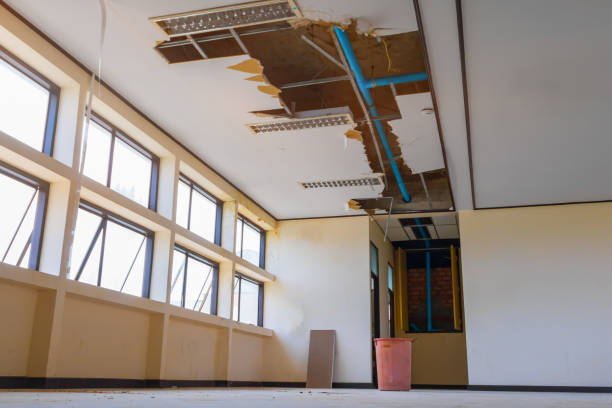 Best Water damage contractors near me  in Franklin Park, NJ