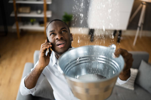 Professional Water damage restoration in Franklin Park, NJ