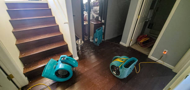  Franklin Park, NJ Water damage restoration Pros