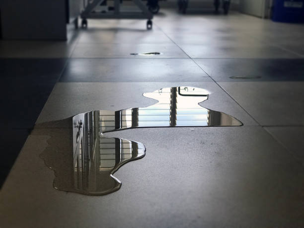Best Water damage restoration process  in Franklin Park, NJ