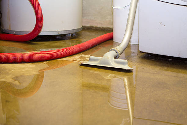 Best Water damage restoration near me  in Franklin Park, NJ