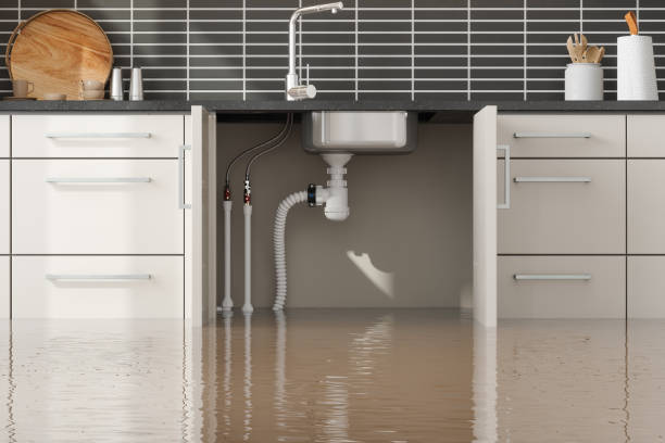 Best Local water damage restoration  in Franklin Park, NJ