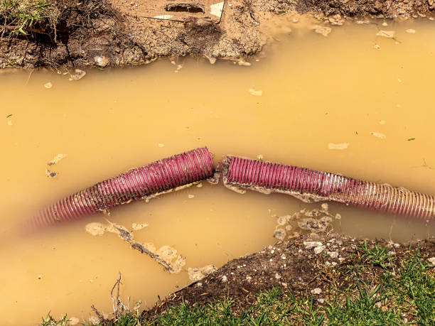 Best Commercial water damage restoration  in Franklin Park, NJ