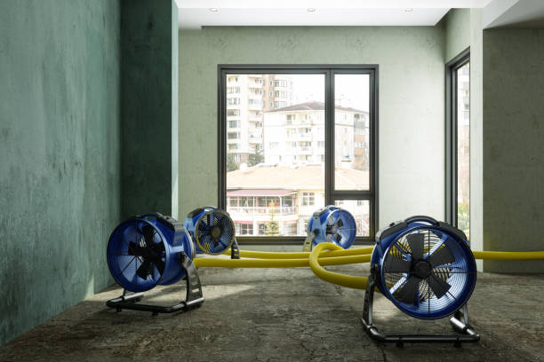 Best Water damage mitigation services  in Franklin Park, NJ